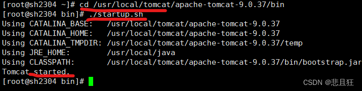 Linux虚拟机安装tomcat（图文详解）