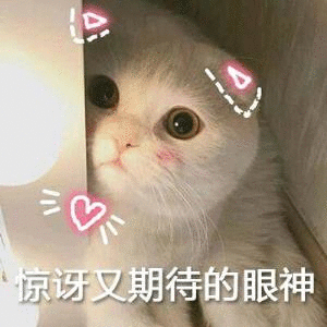 期待