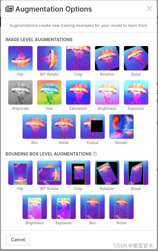 Augmentation