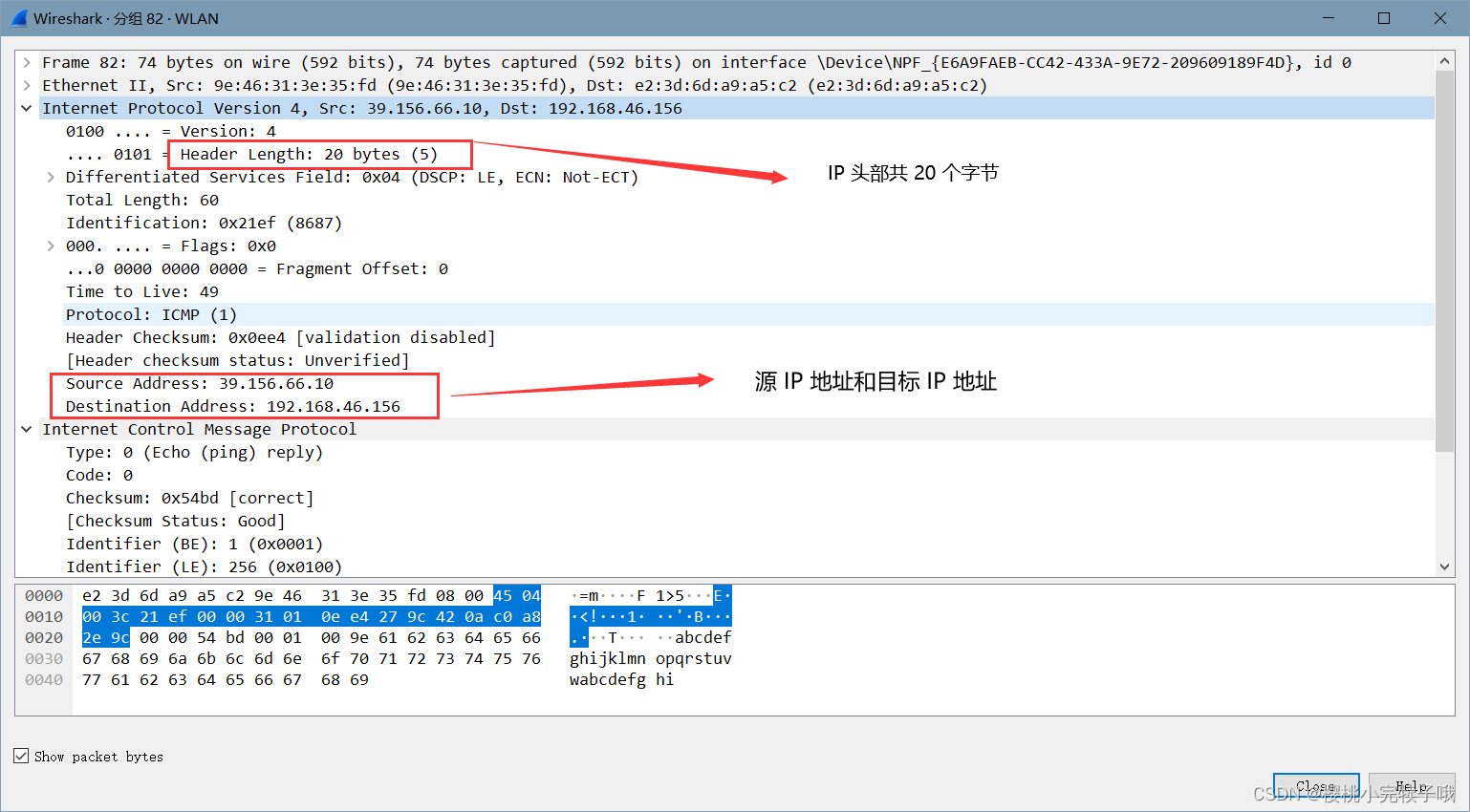 你知道什么是 Ping 吗？