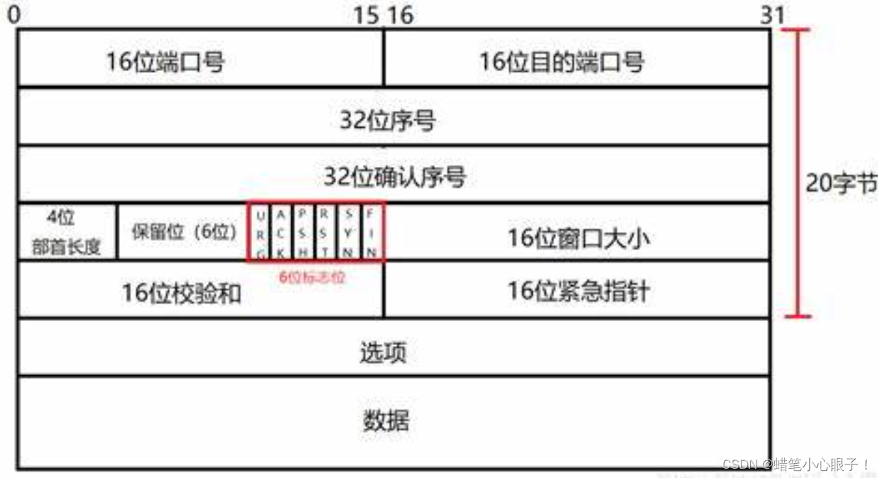 UDP和TCP协议报文格式详解