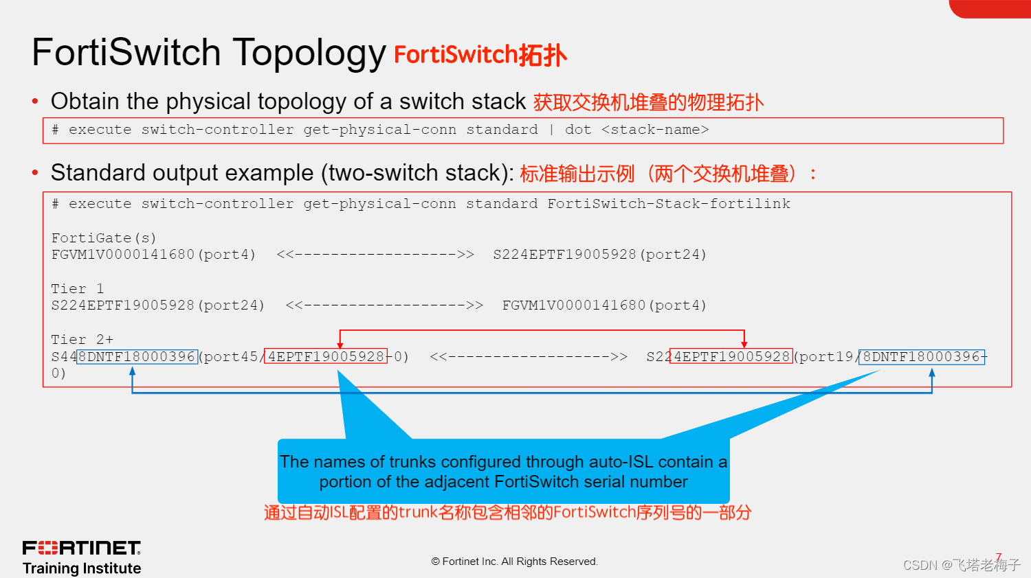 NSE6_FSR-7.3考試資料