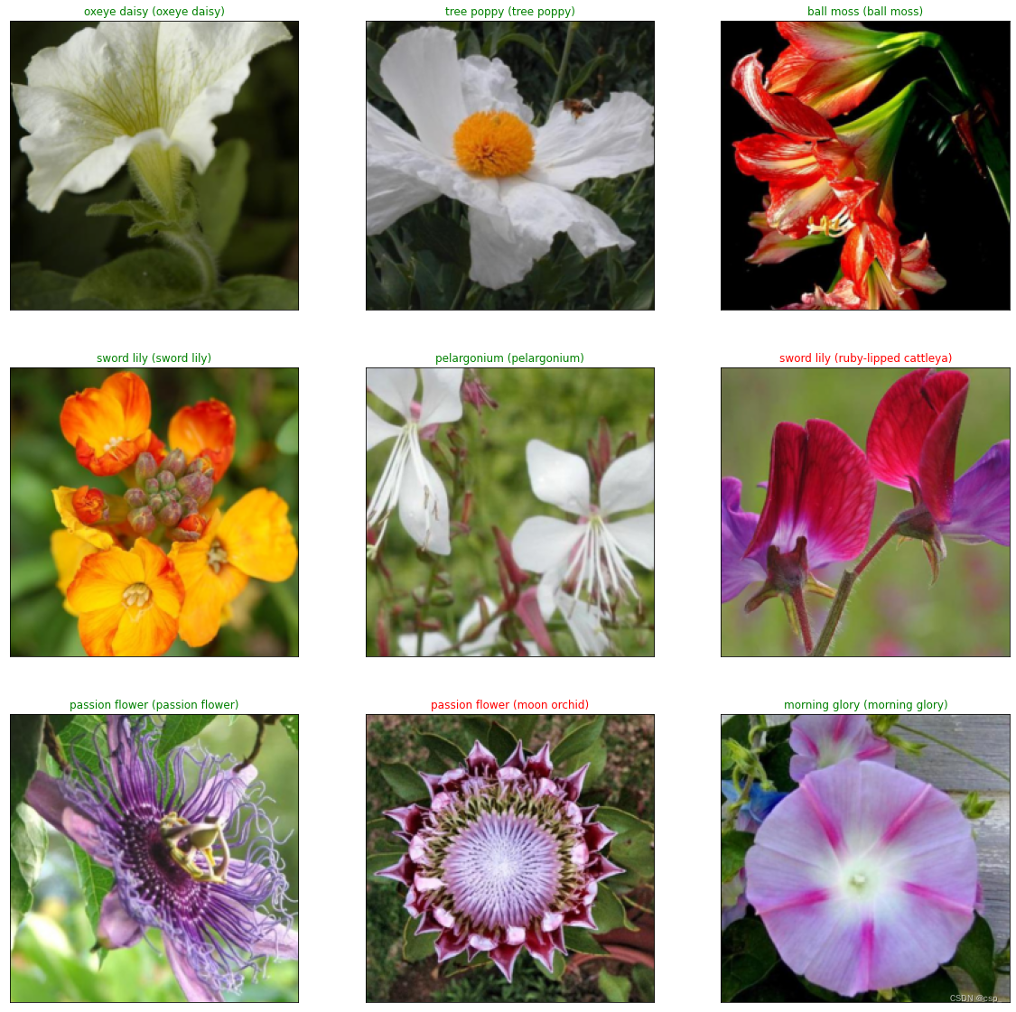 Resnet152对102种花朵图像分类（PyTorch，迁移学习）