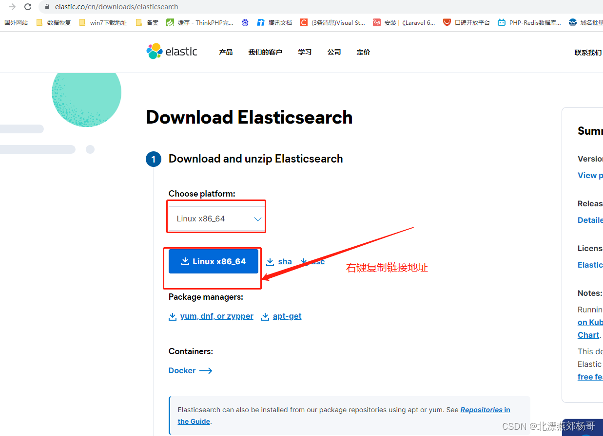 复制elasticsearch下载地址描述