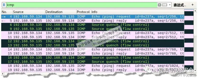 図 10 キャプチャされた ICMP パケット