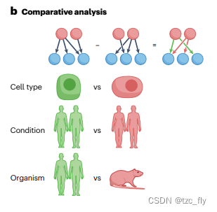 fig3b