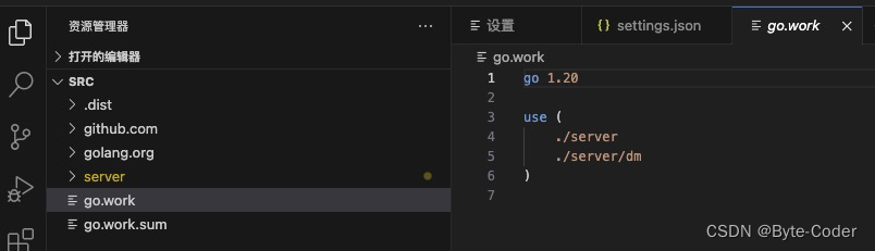 golang vscode环境报错gopls was not able to find modules in your workspace的解决方式