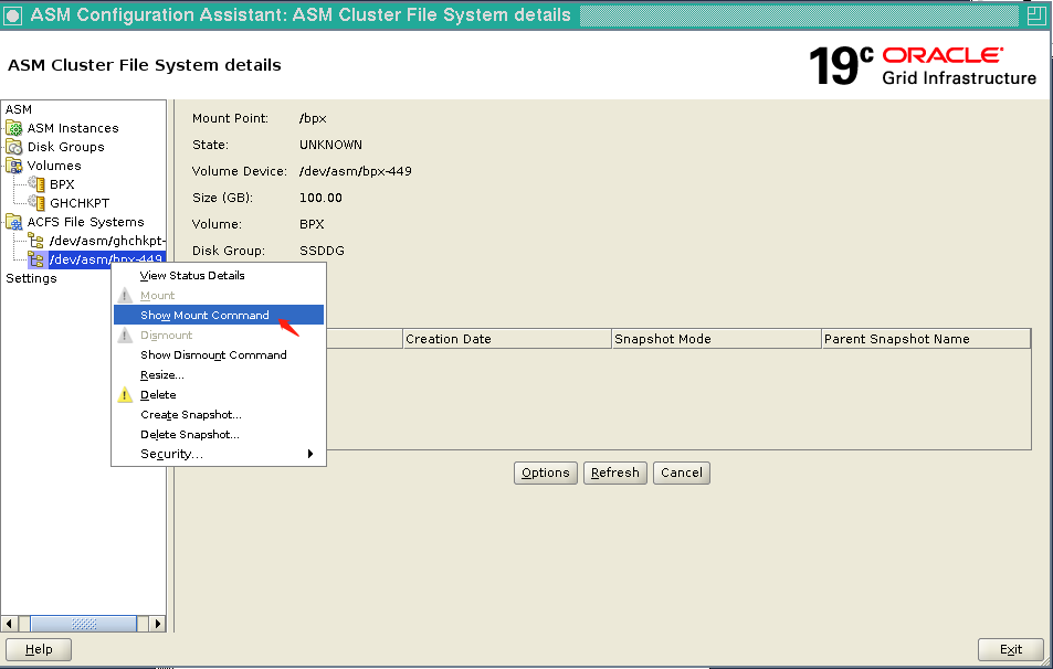 asmca 19c ACFS_19c acfsCSDN博客