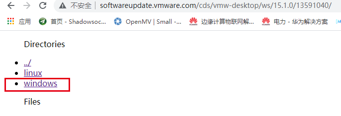 WindowsѡWindows，ҪʲôϵͳVMware tool!!!