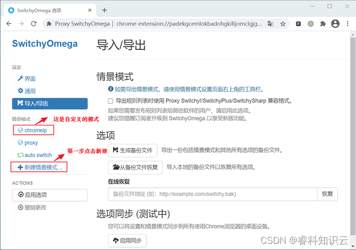 Proxy SwitchyOmega安装和使用_proxyswitchy-CSDN博客