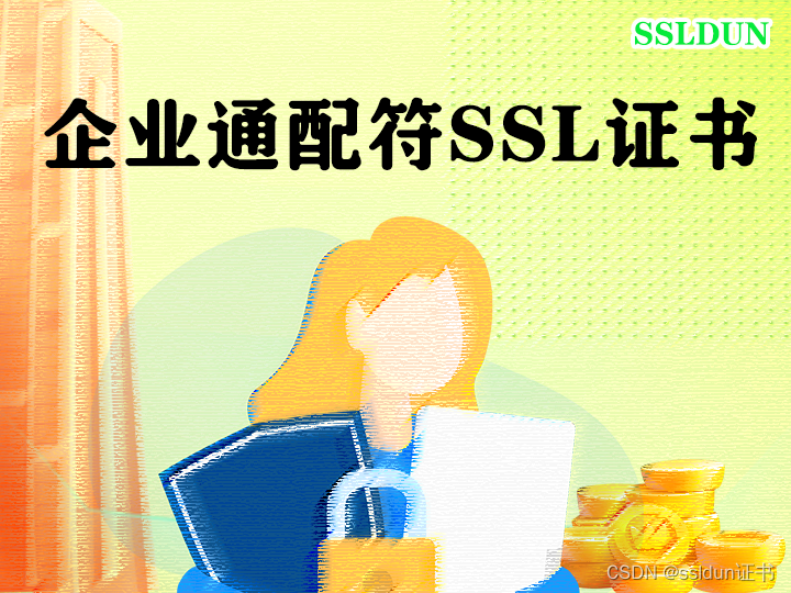 企业通配符SSL证书的特点