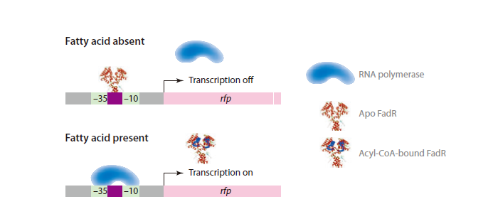watermark,type_d3F5LXplbmhlaQ,shadow_50,text_Q1NETiBARUJMX0NBUw==,size_20,color_FFFFFF,t_70,g_se,x_16