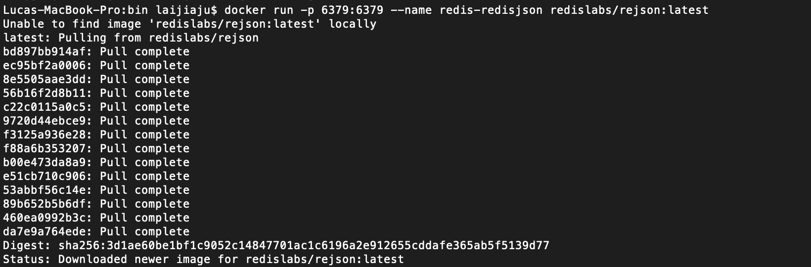 Redisjson entry tutorial - Programmer Sought