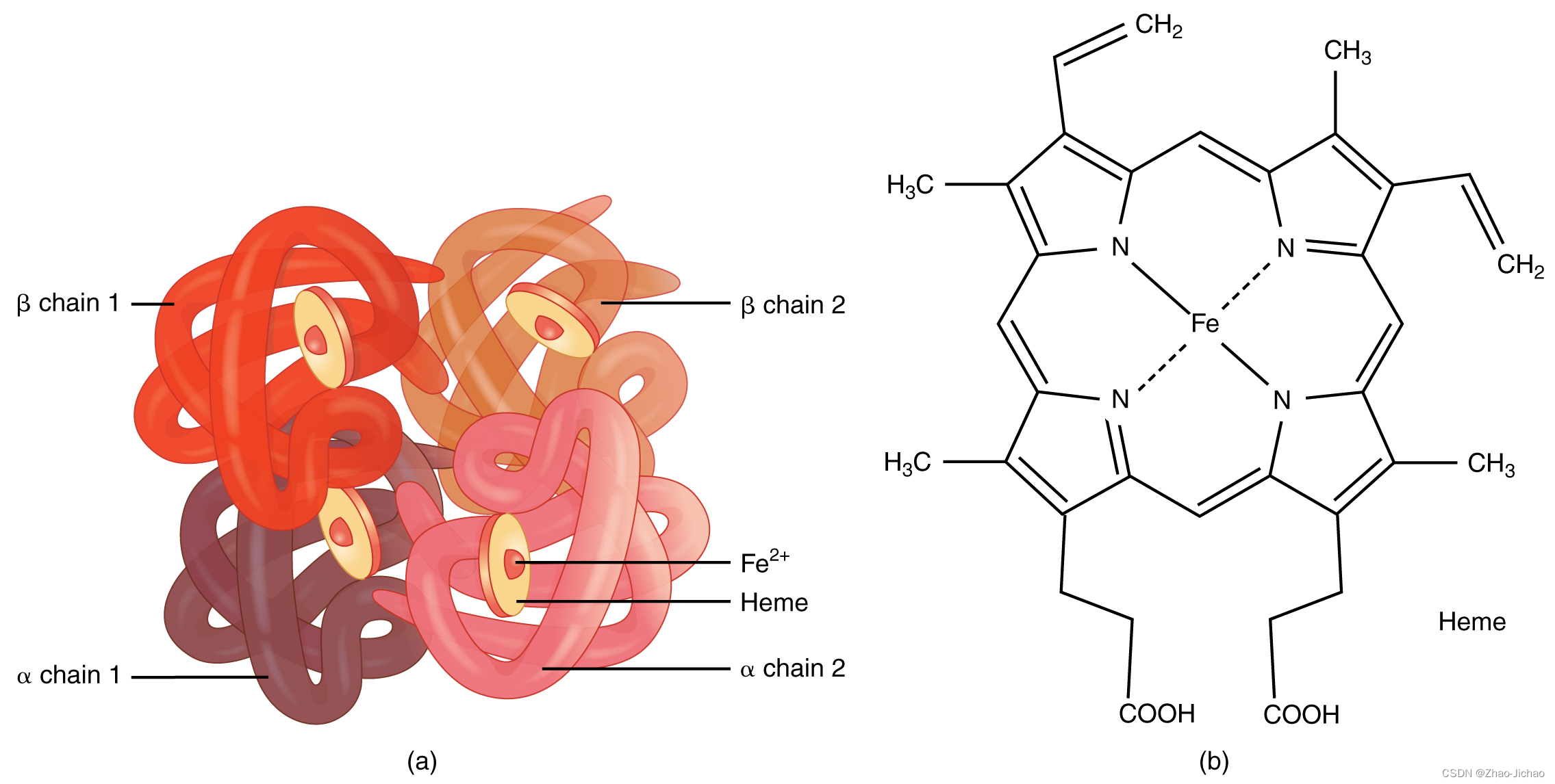 Pymol实现2个蛋白结构比对#1-(How to align two structures in Pymol)- Part 1