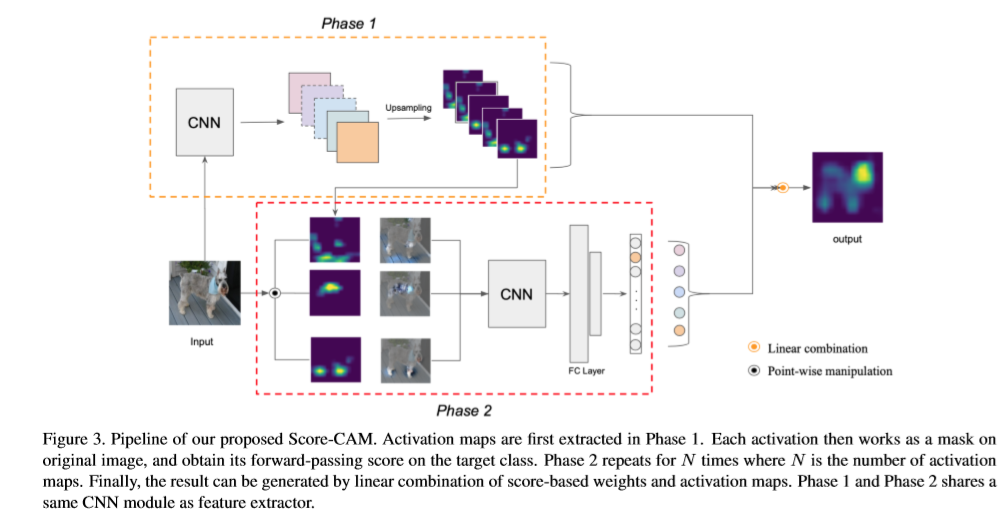 【CNN解释】Score CAM_scorecamCSDN博客