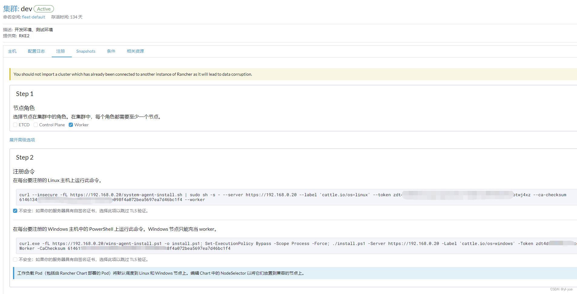 集群节点注册示例