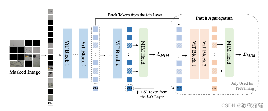 BLIP model