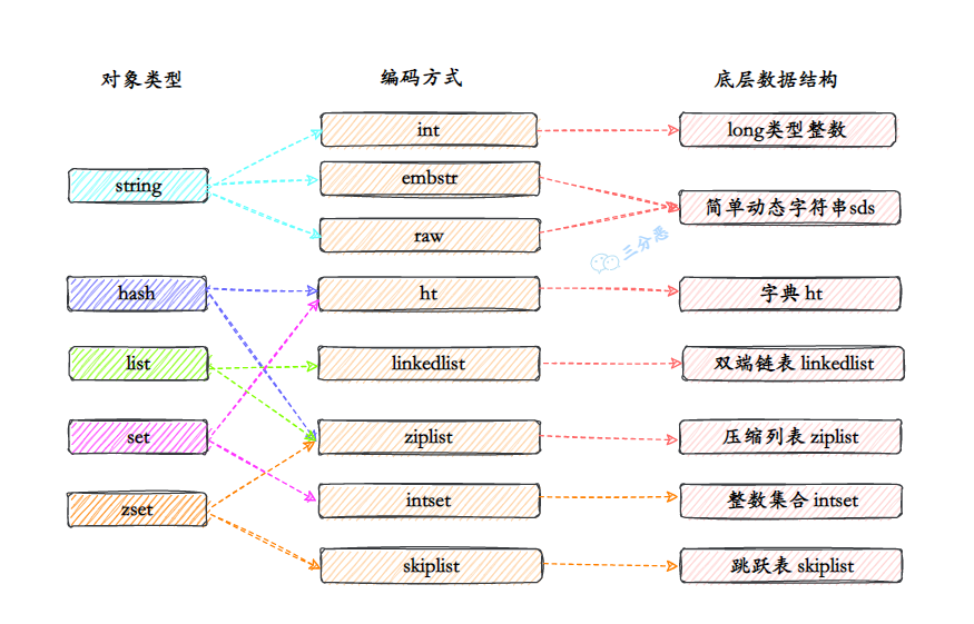 类型-编码-结构