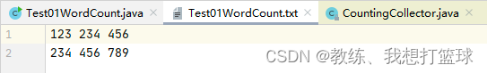 05 Flink 的 WordCount