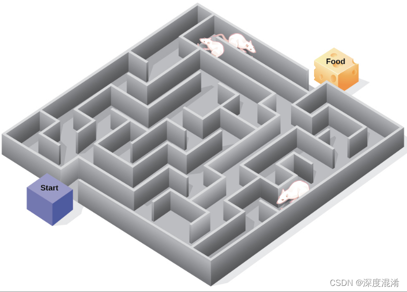 C#，老鼠迷宫问题的回溯法求解（Rat in a Maze）算法与源代码