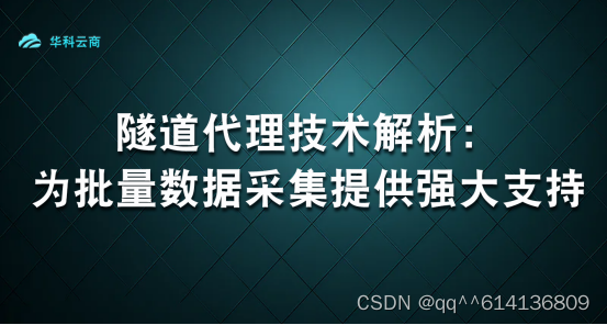 隧道代理技术解析：为批量数据采集提供强大支持