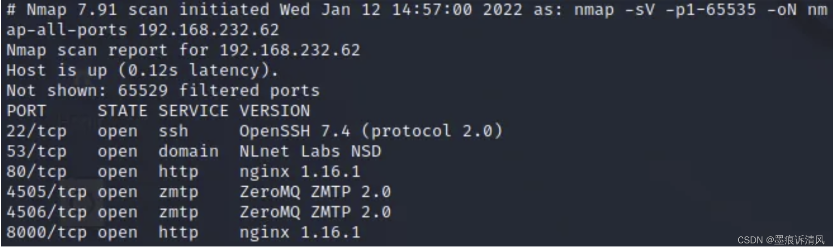 OSCP-Twiggy（ZeroMQ、SaltStack）