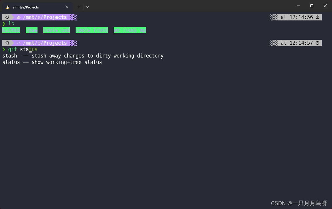 Windows terminal+wsl+ohmyzsh+powerlevel10k打造更美丽的终端