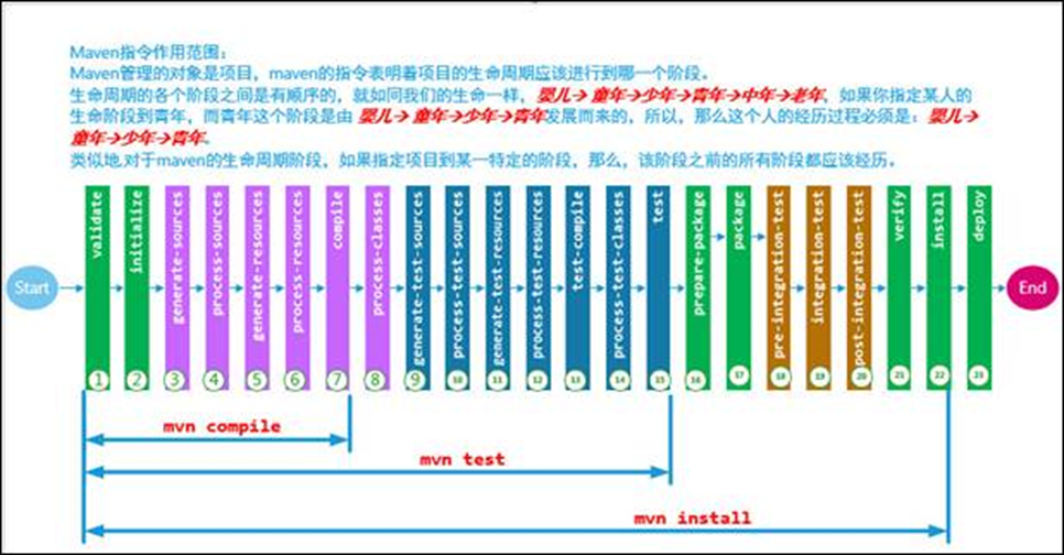 Maven的生命周期