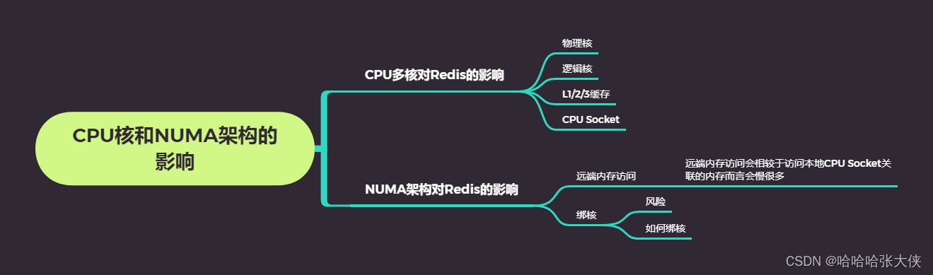 [外链图片转存失败,源站可能有防盗链机制,建议将图片保存下来直接上传(img-5IRTiCXe-1680957421197)(https://zhangyuxiangplus.oss-cn-hangzhou.aliyuncs.com/boke/CPU核和NUMA架构的影响.png)]