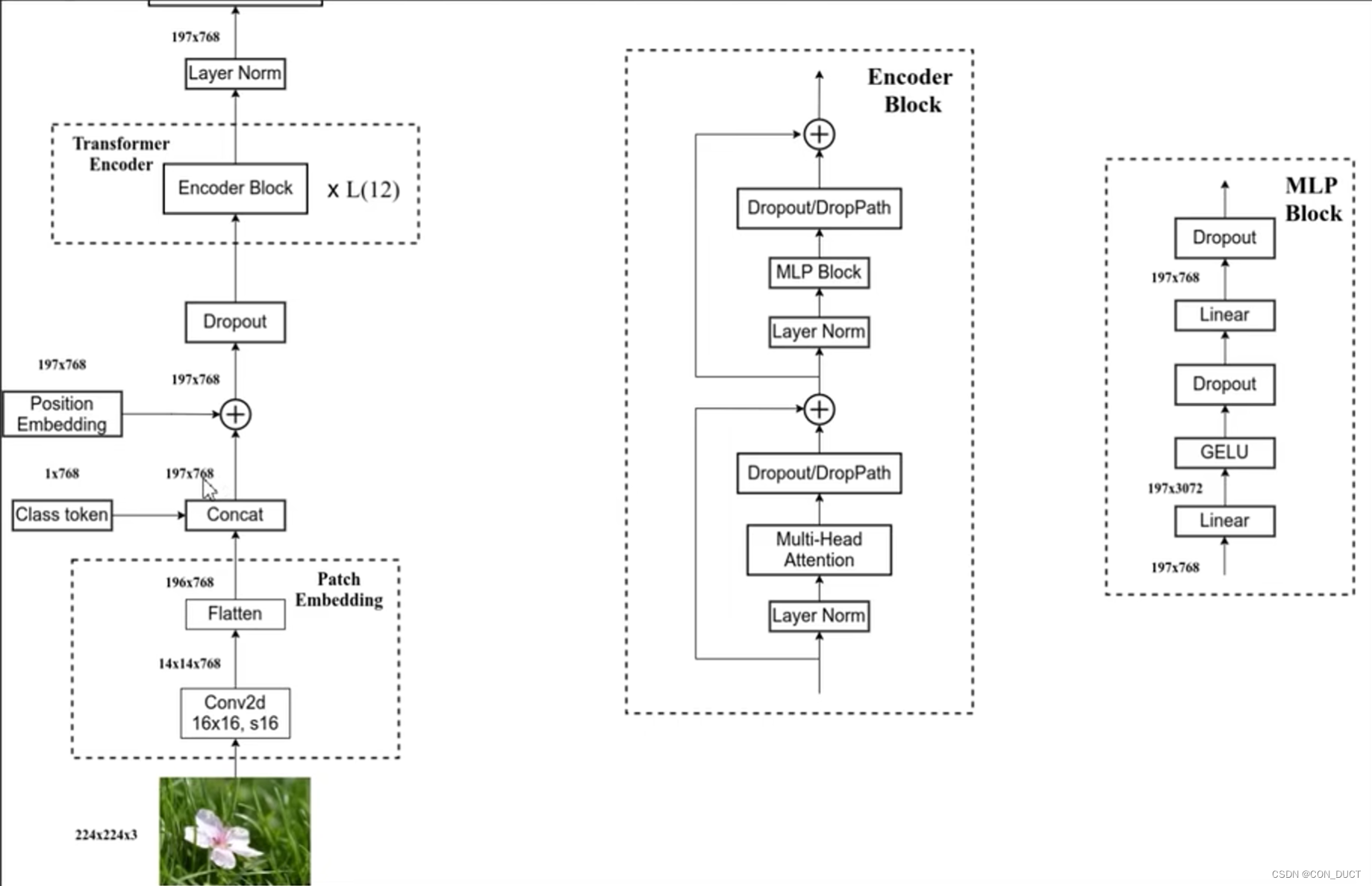 读 DeepFake detection with multiscale convolution and vision transformer 第五期：VIT_multiscale