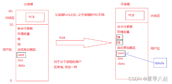 Linux系统编程2——进程介绍