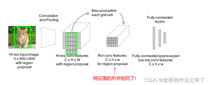 AI遮天传 DL-深度学习在计算机视觉中的应用