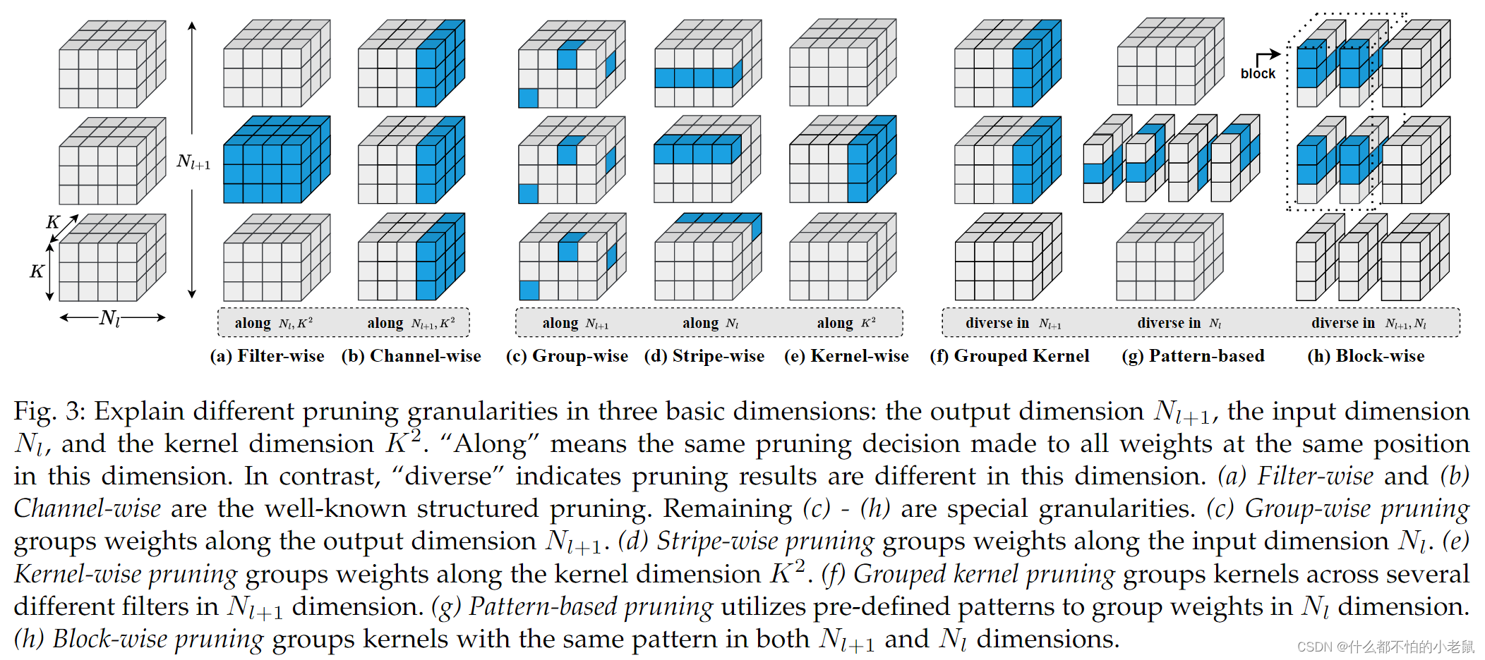 (CVPR2023)Structured Pruning for Deep Convolutional Neural Networks: A ...