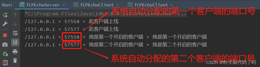 Java【网络编程2】详解基于 TCP 协议的 Socket API, 逐行代码解析如何服务器客户端通信(附代码)