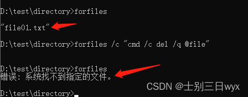 Windows forfiles命令详解，Windows按时间搜索特定类型的文件。