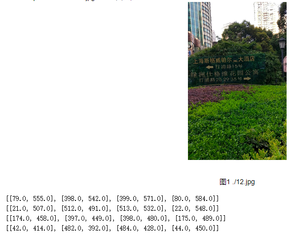 paddleocr 的使用要点2 （仪表识别）