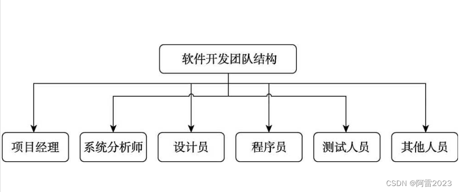 项目开发团队结构