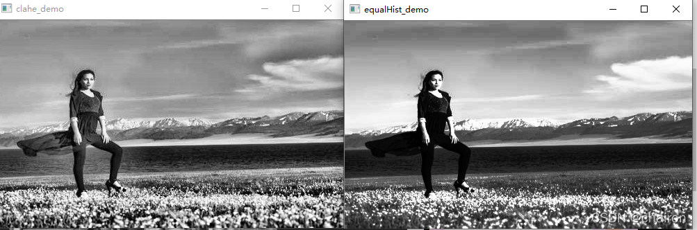 左图为局部自适应直方图均衡化,右图为直方图均衡化