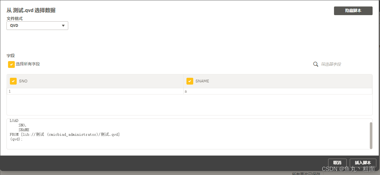 Qlik Sense 创建 QVD 文件详解（Store）_qliksense qvdCSDN博客