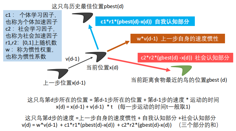 22 粒子群算法直观解释