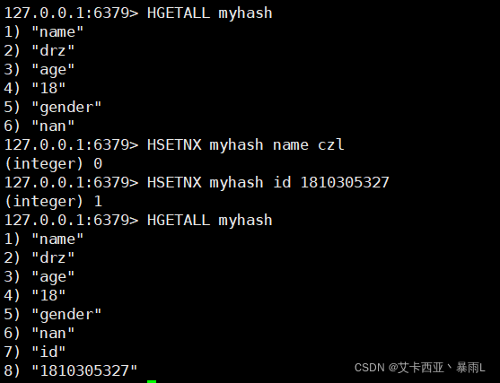 HSETNX key field value