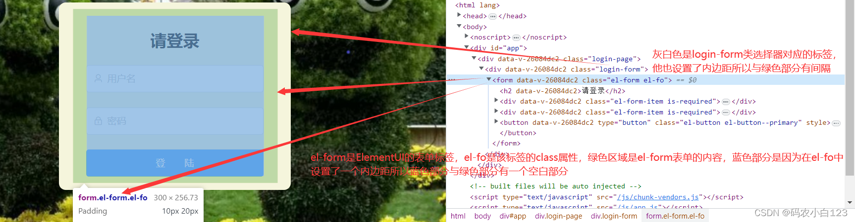 ElementUI登陆表单中常用的标签属性