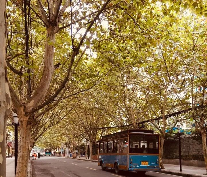 Chengdu Yulin West Road Community Bus