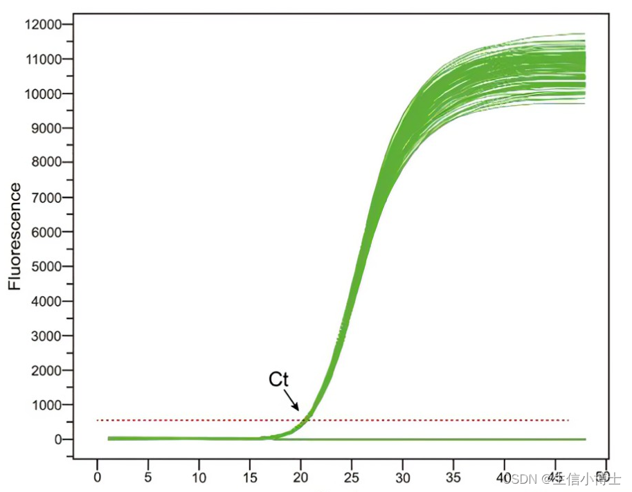 qPCR（荧光定量PCR）的Ct值