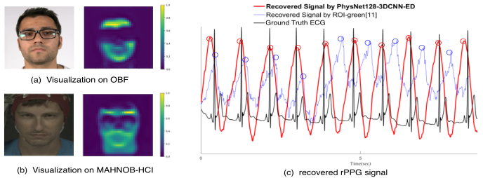 Remote Photoplethysmograph Signal Measurement from Facial Videos Using Spatio-Temporal Networks