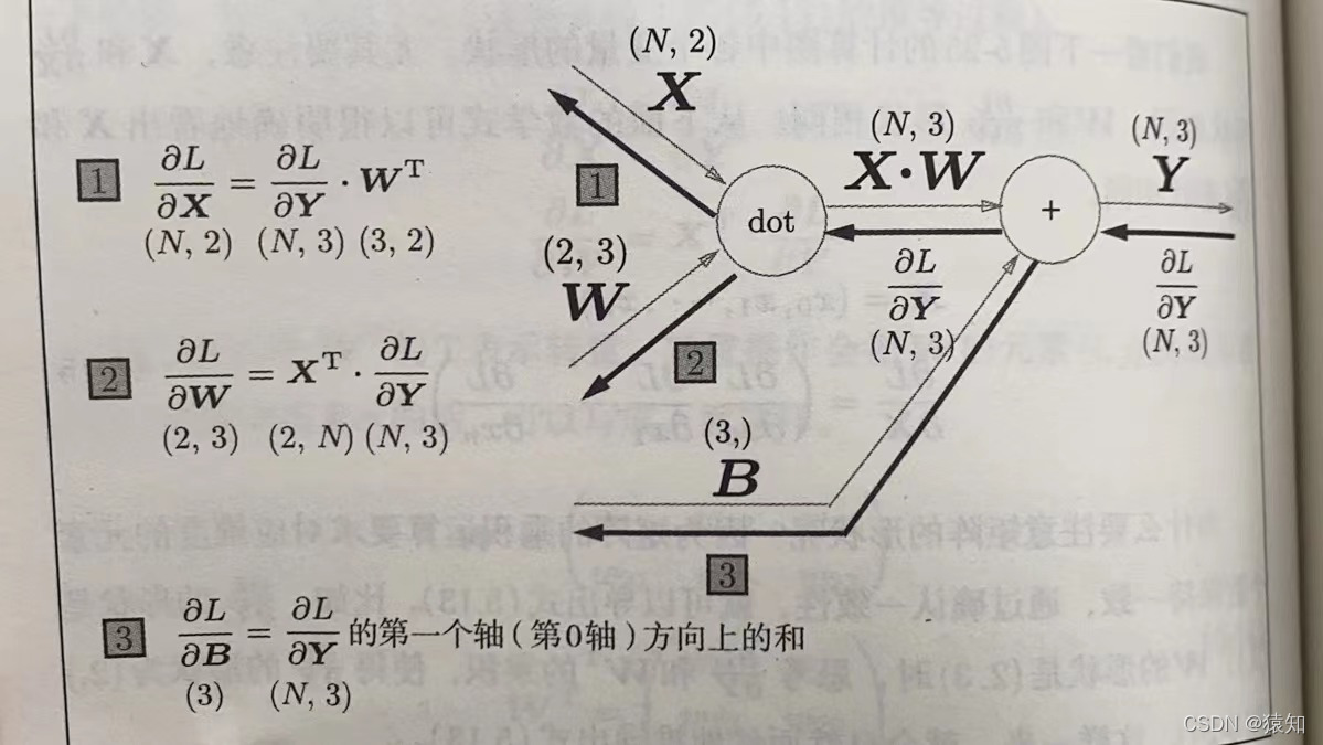 菜菜的深度学习笔记 | 基于Python的理论与实现（九）—＞Affine层的实现