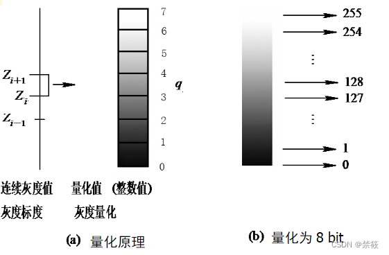 均匀量化示意图