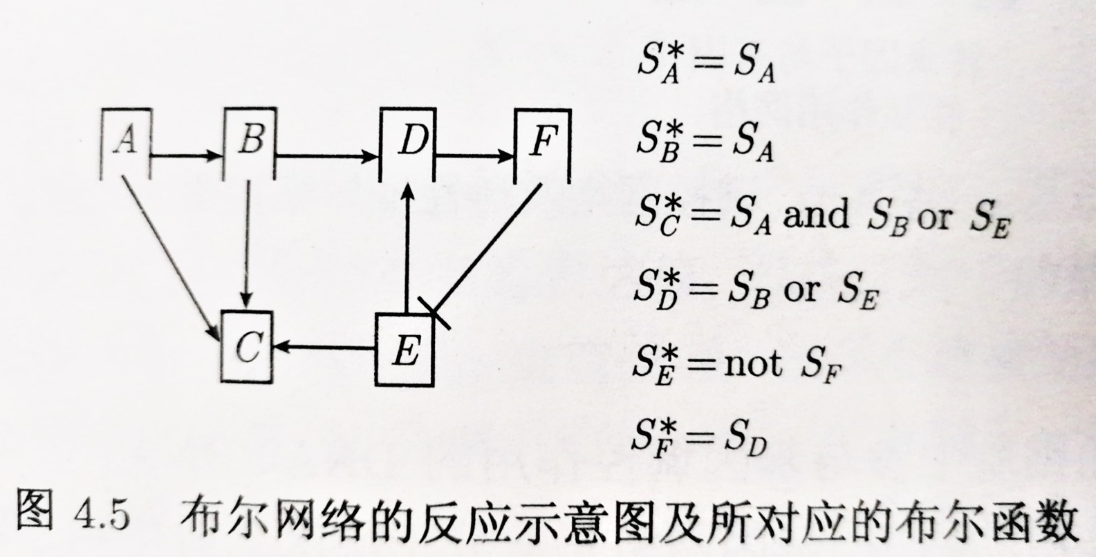 布尔网络的反应示意图及所对应的布尔函数