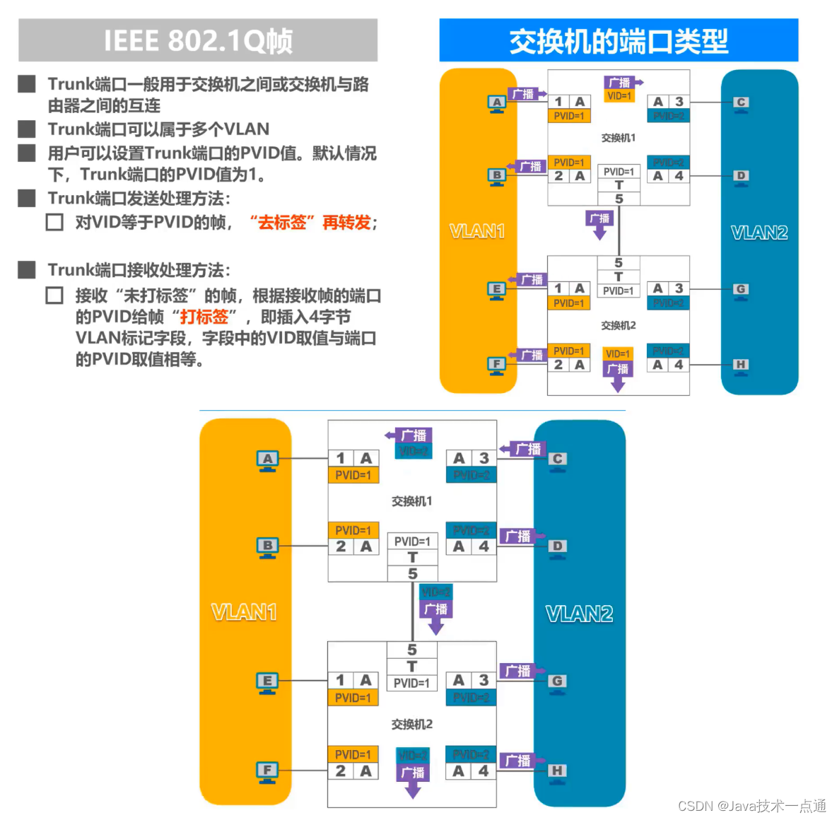 [外链图片转存失败,源站可能有防盗链机制,建议将图片保存下来直接上传(img-ngJvmmRE-1676007338366)(计算机网络第三章（数据链路层）.assets/image-20201015205947636.png)]