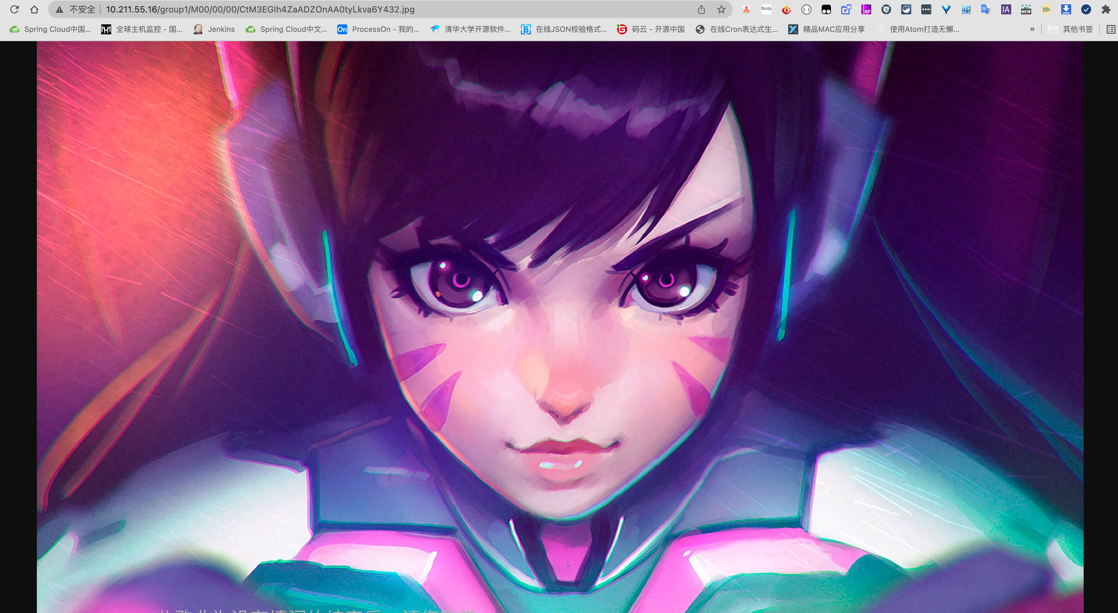 虽然我不咋玩了，D.va我还是喜欢的